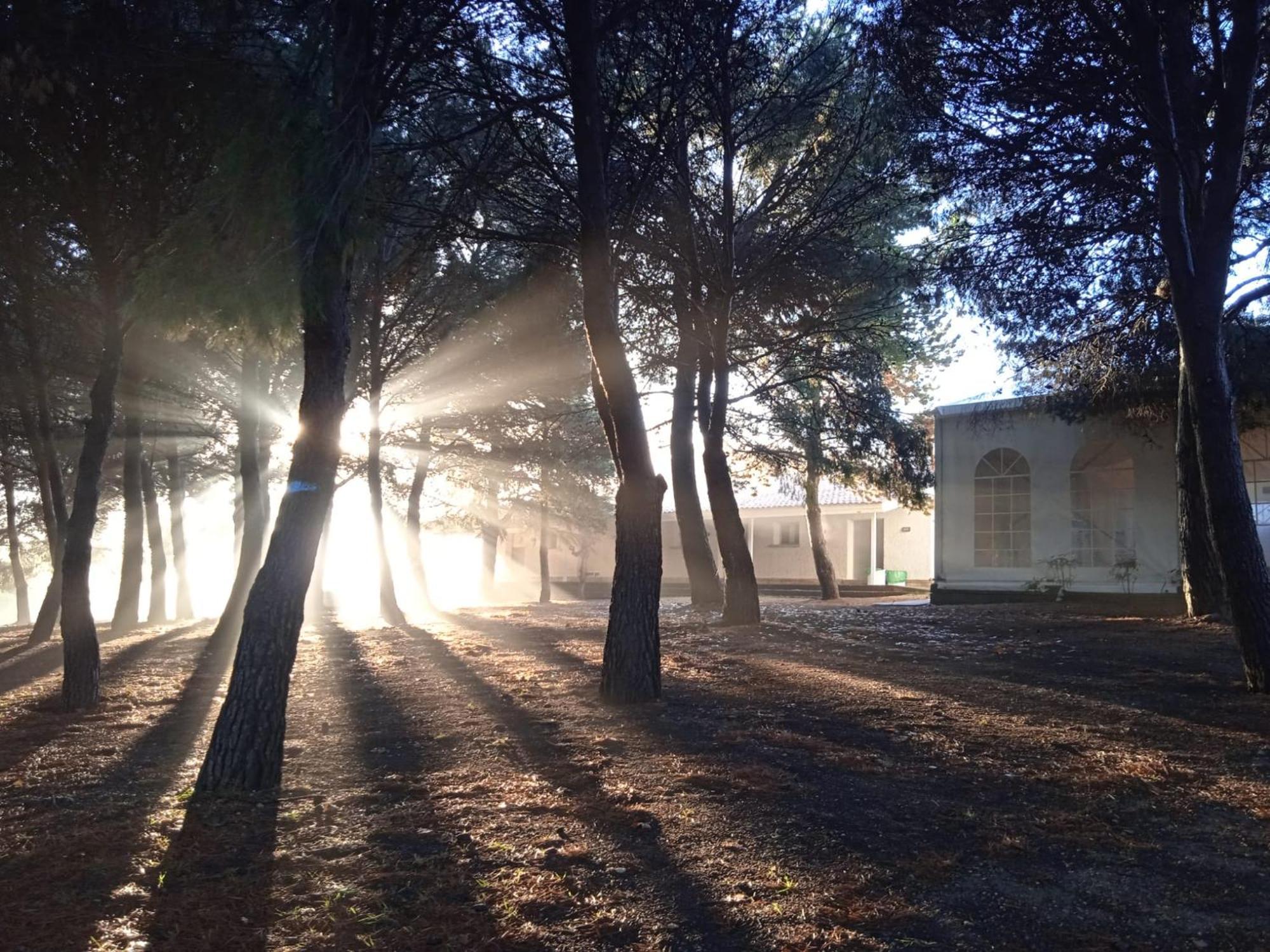 Albergue Zaragoza Camping Zewnętrze zdjęcie